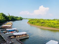 -东寨港红树林旅游区