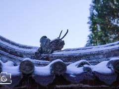 -四门塔风景区