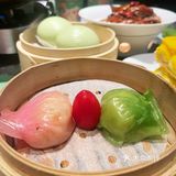 茶港～春日上新之樱花🌸系