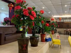 大堂-黄流叉路老鸭