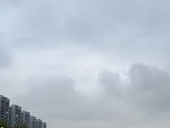 -无忧学车·大众驾校(长宁校区)