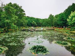 -棒棰岛宾馆景区