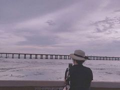 -宝安西湾红树林湿地公园