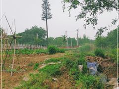 -梁鸿国家湿地公园