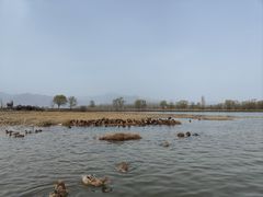 -野鸭湖国家湿地公园