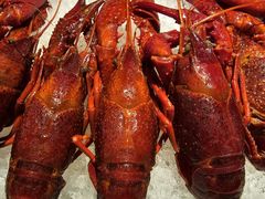 -舞虾小说.涮肉.烧烤(国顺东路店)