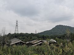 -西湖风景区-江洋畈生态公园