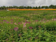 -黄河三峡风景名胜区