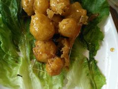 -椿记烧鹅(叠彩店)