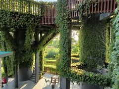 -芒洲湿地公园
