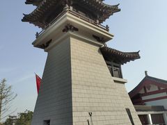 -洛阳市隋唐城遗址植物园