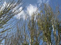 -鄂尔多斯野生动物园