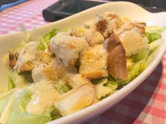 -百好乐宠物友好餐厅(朝外大街店)