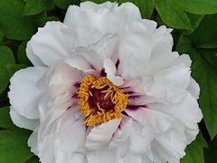-太阳宫公园