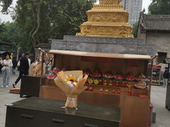 -西安大兴善寺