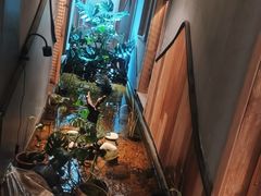 -邈墨茶馆(凤起路店)