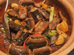 -新兴·金羊座·粤菜点心(乐峰店)