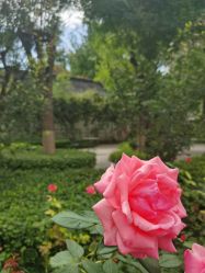 点击看大图 -宝馨月月子中心(友谊医院店)