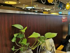 -小土豆北方菜馆(方庄店)