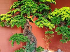 -阿伟海鲜楼·福建菜(延寿店)