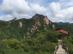 -大岭沟猕猴桃谷风景区
