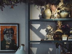 -喵屿·大理花园猫咖