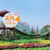 上海｜ 带着孩子👶快来这个亲子农场过六一吧