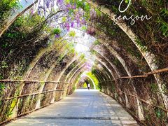 -天津东丽湖风景区