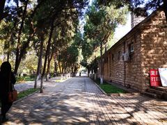 -山东大学(趵突泉校区)