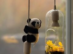 -懒人盐府人家(安贞店)