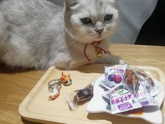 -藏猫猫咖啡主题馆(中央大道店)