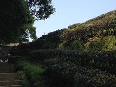 -西湖风景区十里琅珰-五云山