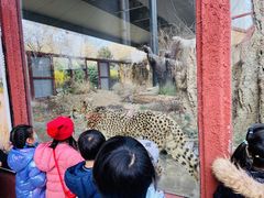 -蓝莓果幼儿园(通州梨园店)