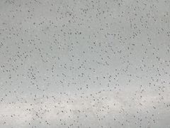 -长城汽车哈弗（重庆顺凯4S店）-地上停车场