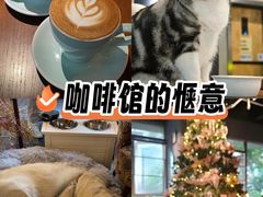 -咖法森林·咖啡  酒吧(天河店)