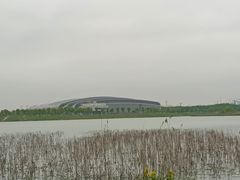 -贡湖湾湿地公园