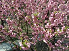 -长辛店二七公园