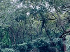-南京市江宁方山
