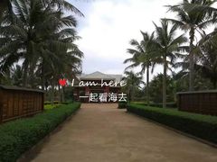 -临高角