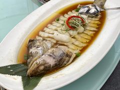 鳕龙鱼-汤记传菜(秀浦路店)