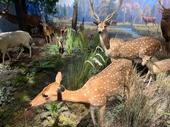 -陕西自然博物馆