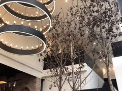 -桉树林A coffee 森林餐厅(三圣乡店)