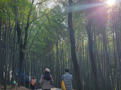 -西湖风景区十里琅珰-五云山