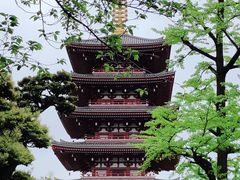 -浅草寺