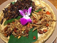 -觅山云南菜(泊富ICITY店)