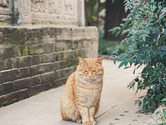 -西安碑林博物馆