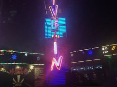 -枫花园汽车电影院(朝阳公园店)