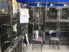 -申普宠物医院·眼科·心内科·影像科(普陀分院)