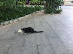 -晓港公园