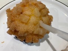 -丁老爷子苏香圆